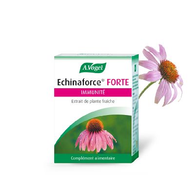 Echinaforce Forte Immune 30 Cp