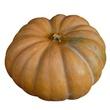 Courge Muscade De France Par 1 Kg